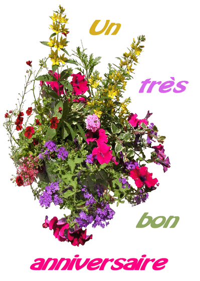 carte anniversaire bouquet de fleurs